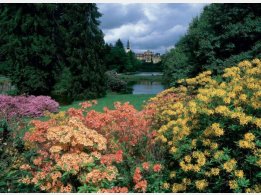 Pruhonice park in bloom