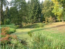 Dendrological Garden Pruhonice