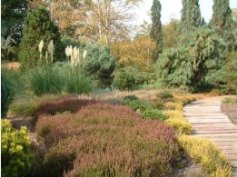 Dendrological Garden Pruhonice