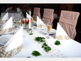 Gala / Wedding Table