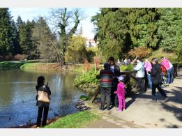 Botanical Garden Pruhonice