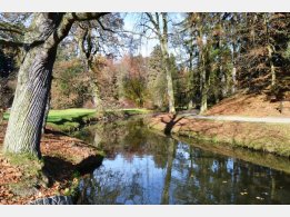 Botanical Garden Pruhonice