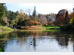 Botanical Garden Pruhonice