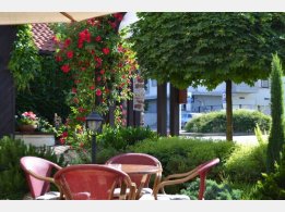 Summer Garden/Terrace of Restaurant Tarouca