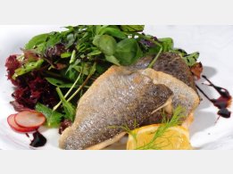 Trout Fillets with Leaves Salad