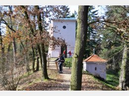 Botanical Garden Pruhonice - Viewing Tower Gloriet