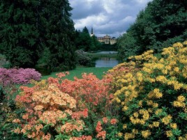 Pruhonice Park in bloom